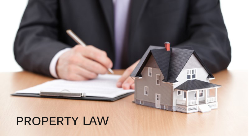 Best Property Lawyer in Delhi